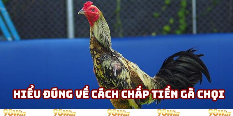 Các hình thức nổi bật