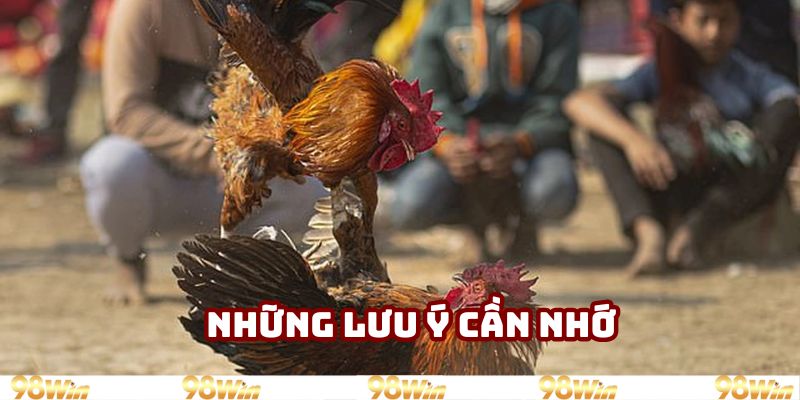 Những lưu ý cần nhớ