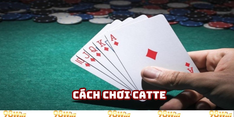 Cách chơi Catte
