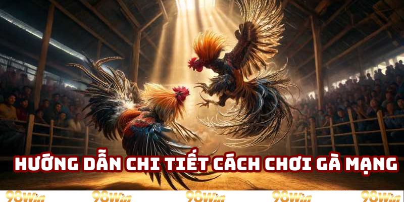 Hướng dẫn chi tiết cách chơi gà mạng luôn thắng