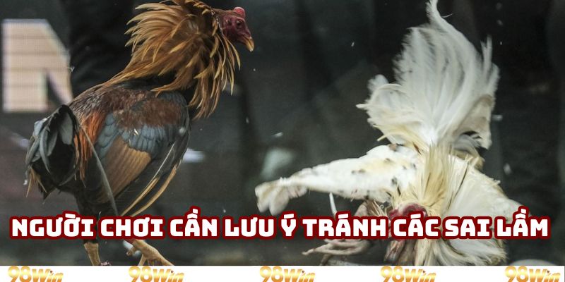 Người chơi cần lưu ý tránh các sai lầm khi chơi gà mạng