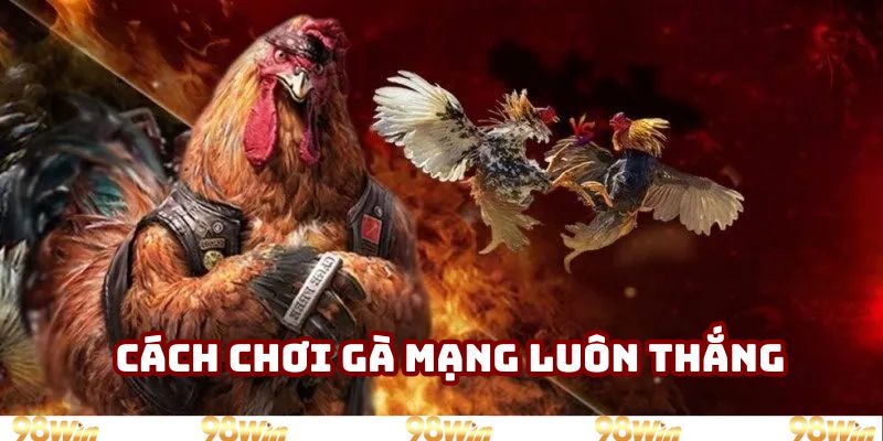 cách chơi gà mạng luôn thắng