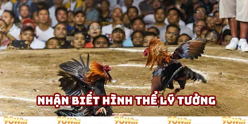 Nhận biết hình thể lý tưởng
