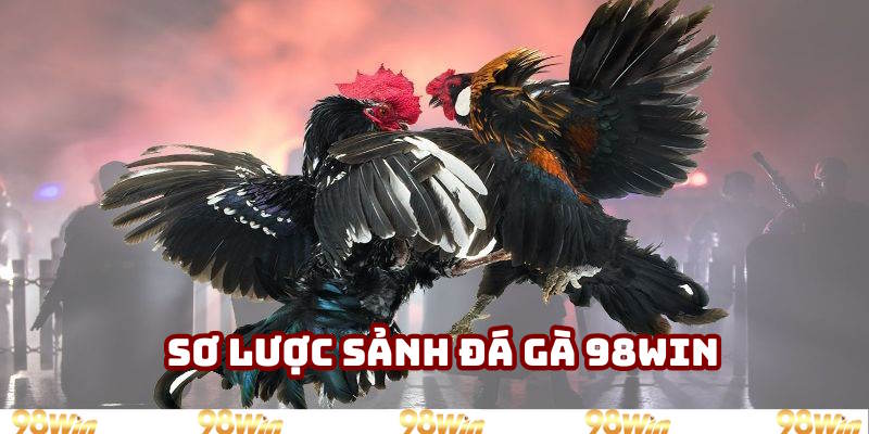 Nội dung giới thiệu sảnh đá gà 98Win Nội dung giới thiệu sảnh đá gà 98Win